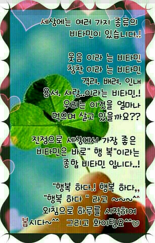 원본사진보기