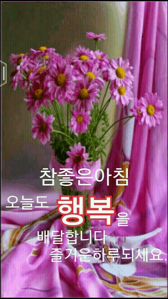 원본사진보기