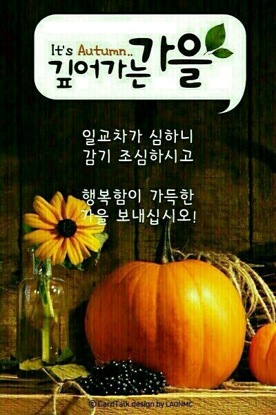 원본사진보기