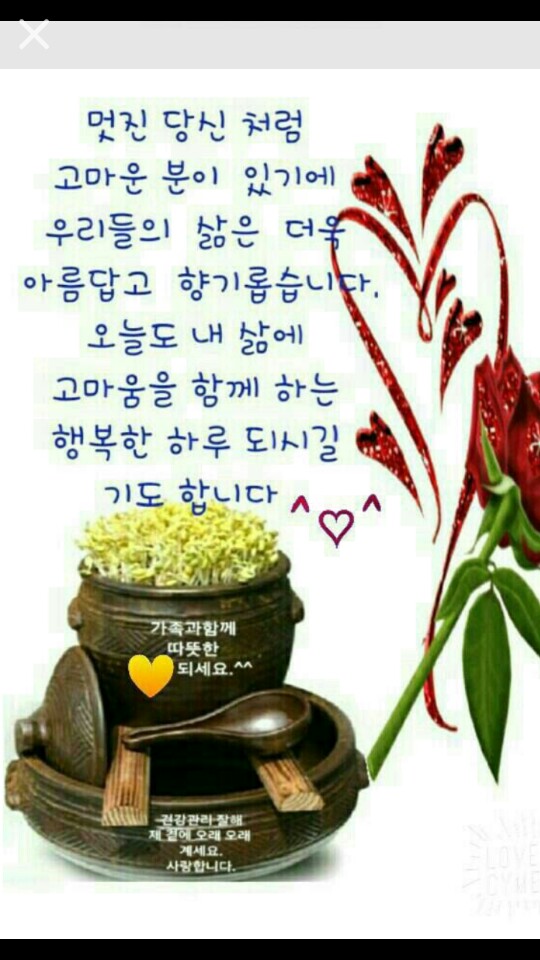 원본사진보기